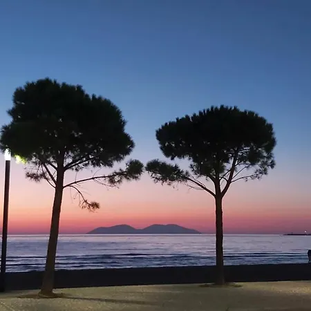 Bay