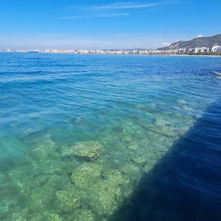 Bay Wlora