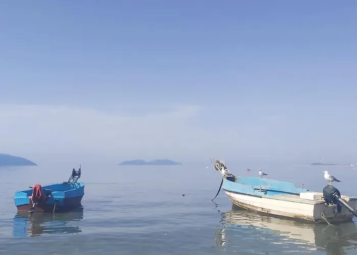 Bay * Vlorë